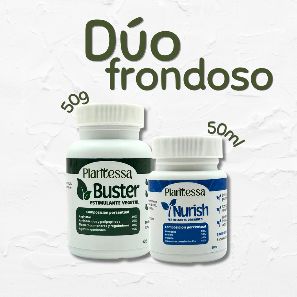 Dúo Frondoso