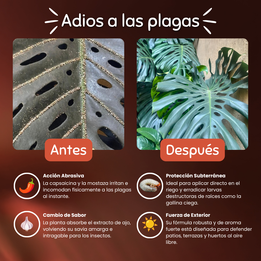 Chilero – Repelente Orgánico de plagas