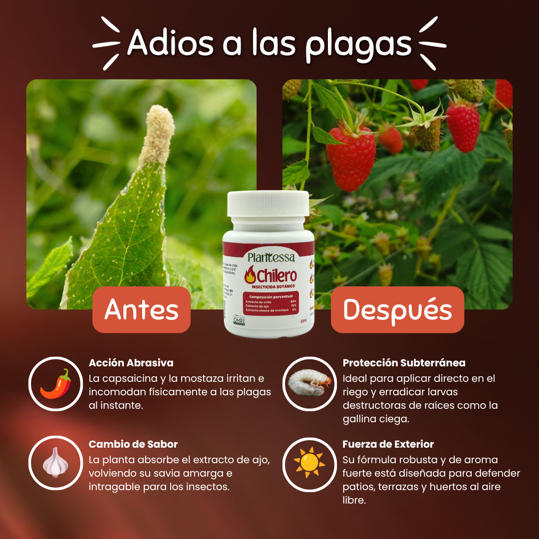 👩‍🌾 Kit Huerto Urbano – Cosecha y Defensa Total