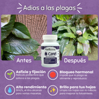 🪲Kit Anti-Plagas | Erradicación y Recuperación