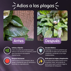 Canel – Escudo Botánico y Acaricida