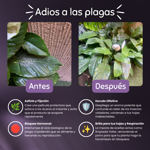 Canel – Escudo Botánico y Acaricida