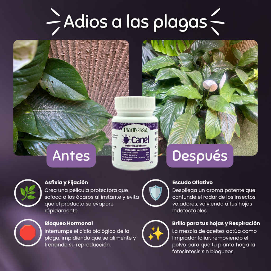 🪲Kit Anti-Plagas | Erradicación y Recuperación