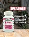 Fungo Bioinsecticida