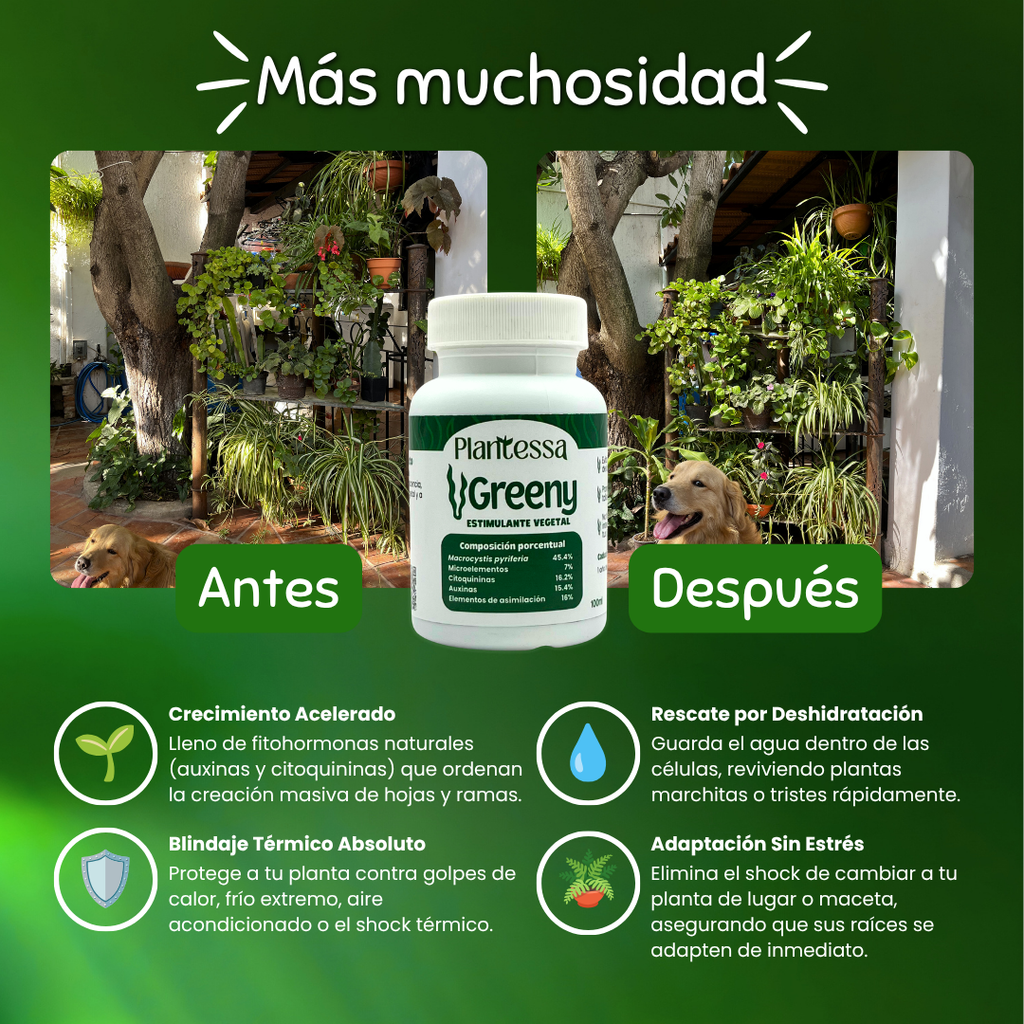 🪲Kit Anti-Plagas | Erradicación y Recuperación