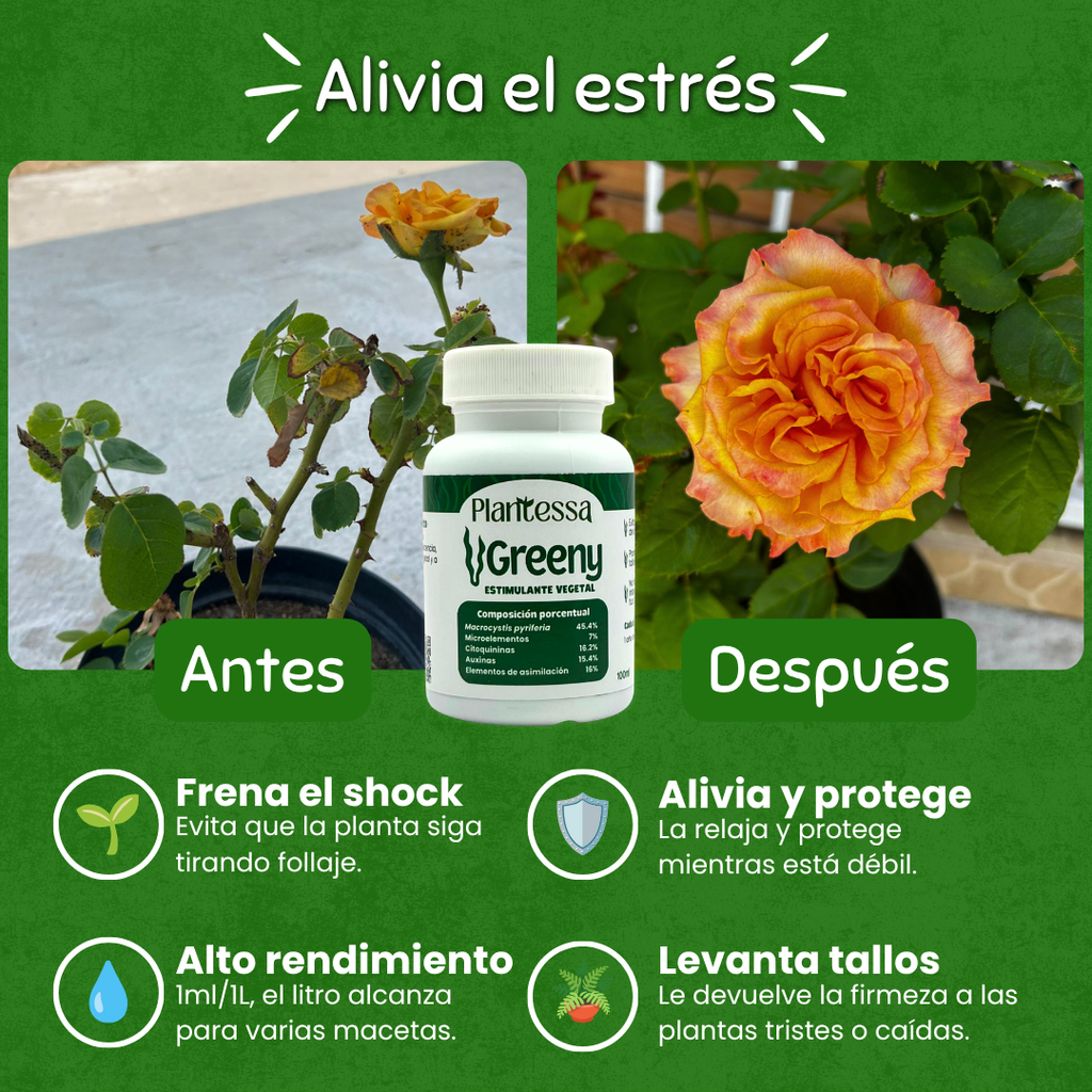 🌵Kit SOS Hongos – Rescate y Regeneración