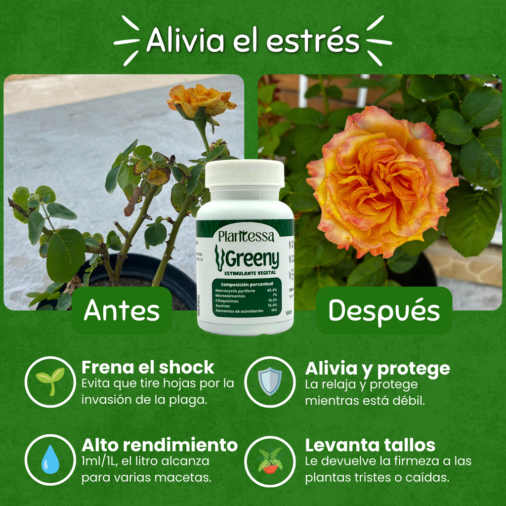 🪲Kit Anti-Plagas | Erradicación y Recuperación
