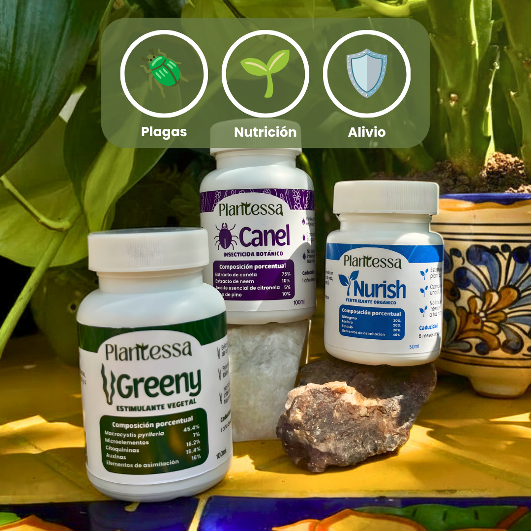 🪲Kit Anti-Plagas | Erradicación y Recuperación