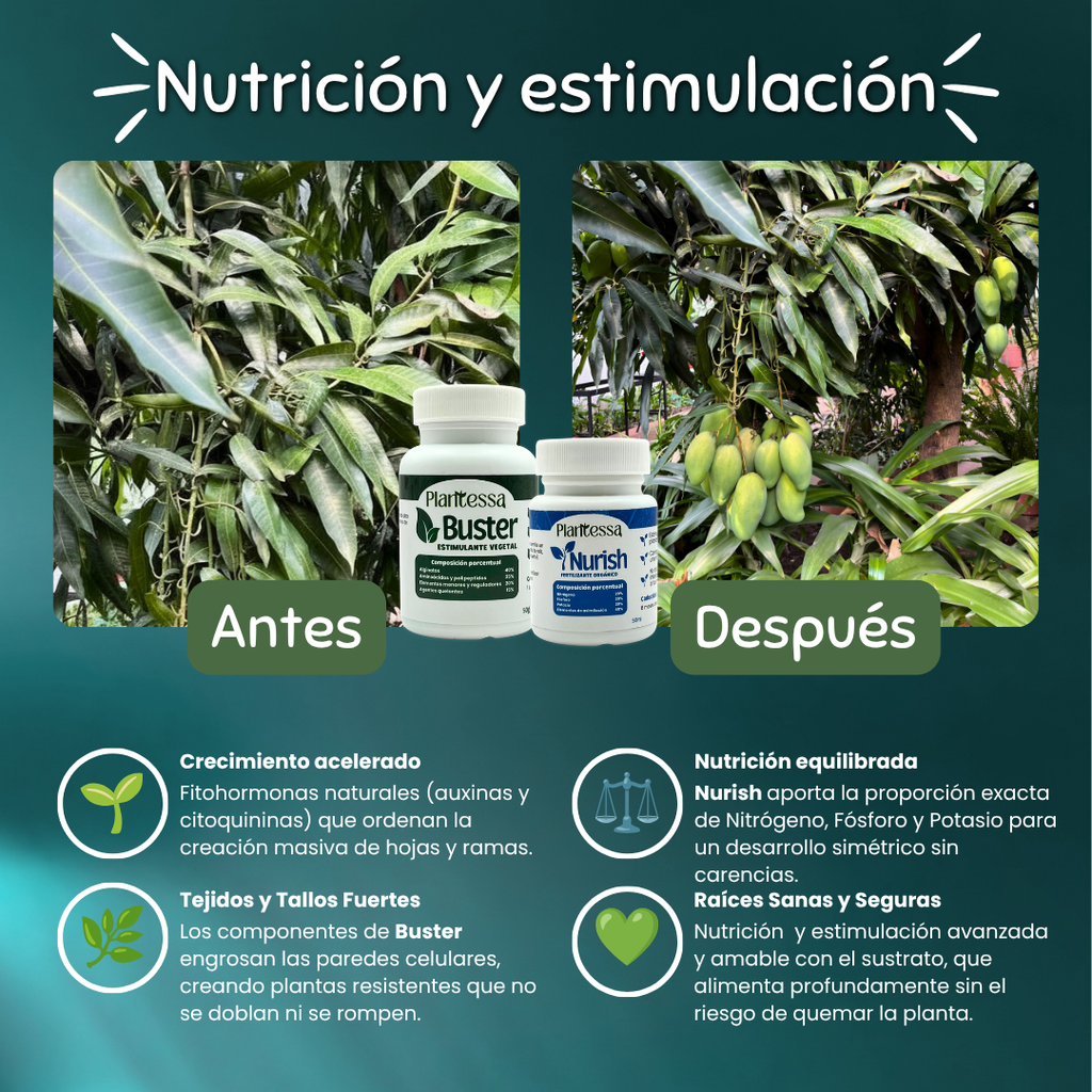 👩‍🌾 Kit Huerto Urbano – Cosecha y Defensa Total