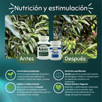 👩‍🌾 Kit Huerto Urbano – Cosecha y Defensa Total