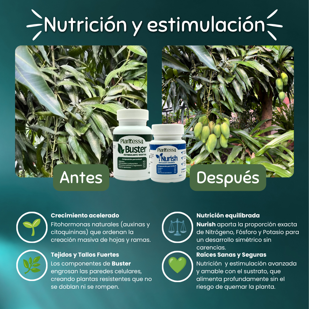 👩‍🌾 Kit Huerto Urbano – Cosecha y Defensa Total