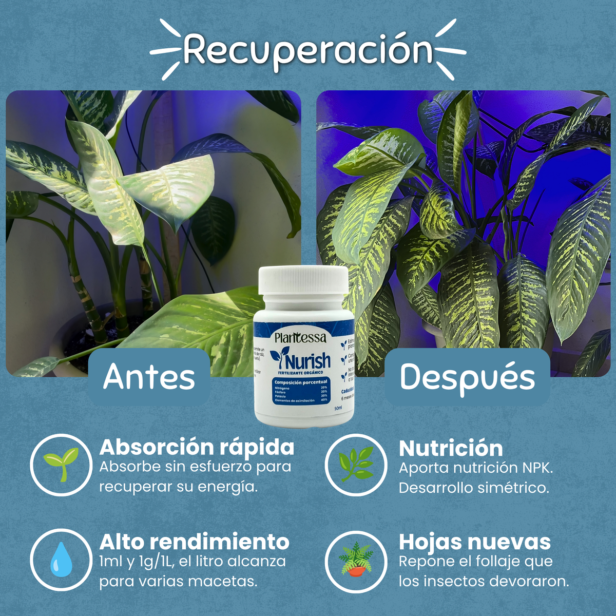 🪲Kit Anti-Plagas | Erradicación y Recuperación