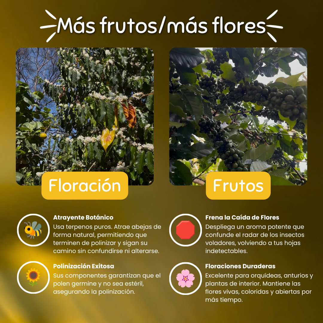 Panal – Atrayente de Abejas y Potenciador Floral