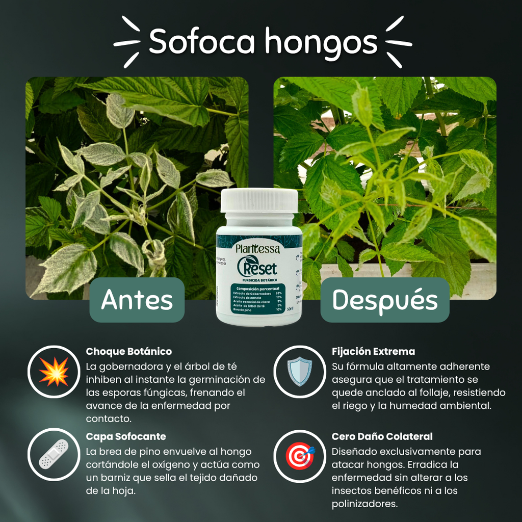 👩‍🌾 Kit Huerto Urbano – Cosecha y Defensa Total