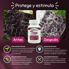 🌱Kit Mejora tu sustrato
