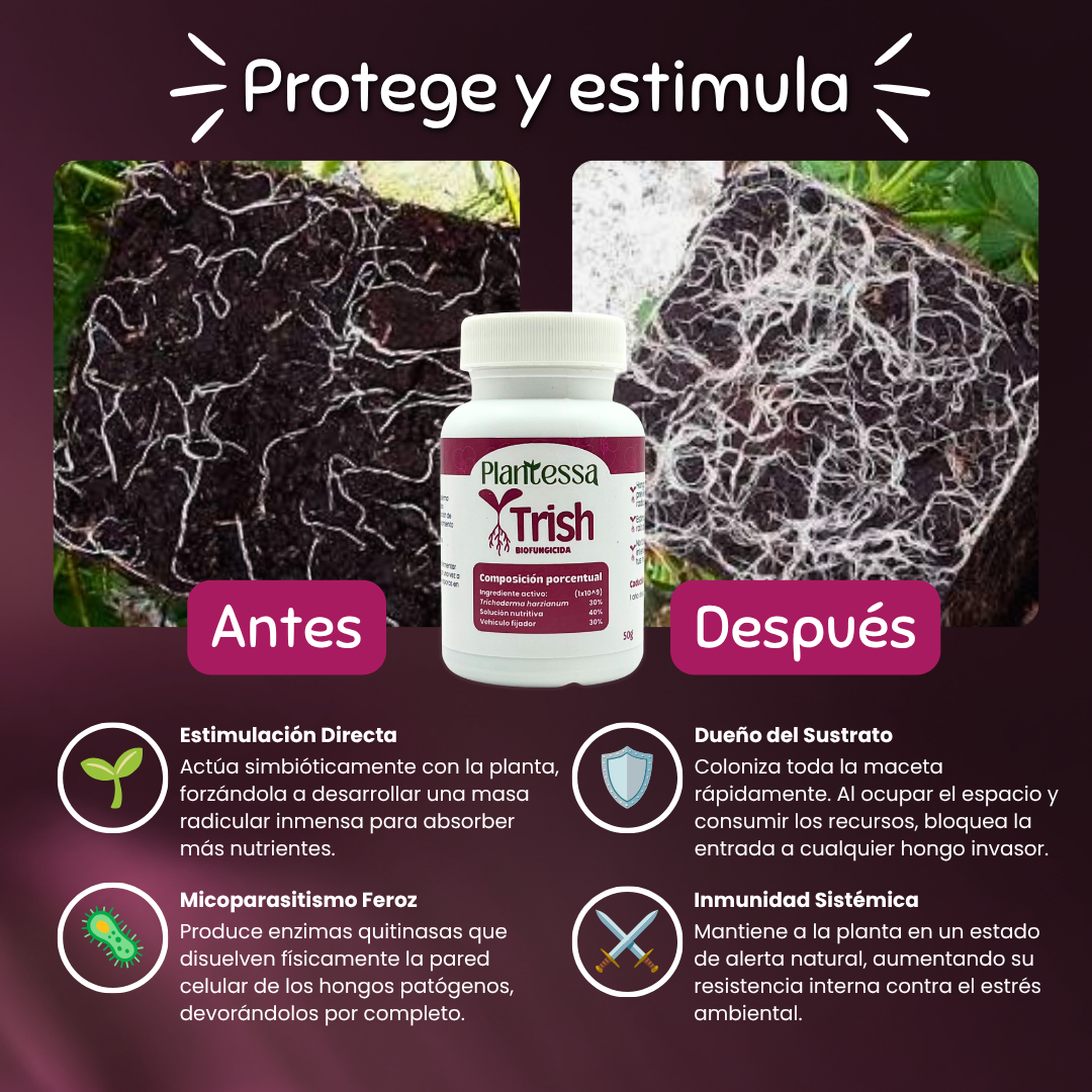 🌱Kit Mejora tu sustrato