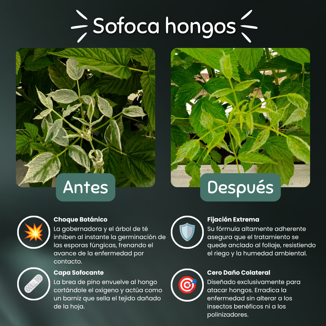 Reset - Tratamiento Anti-Hongos para tus Plantas