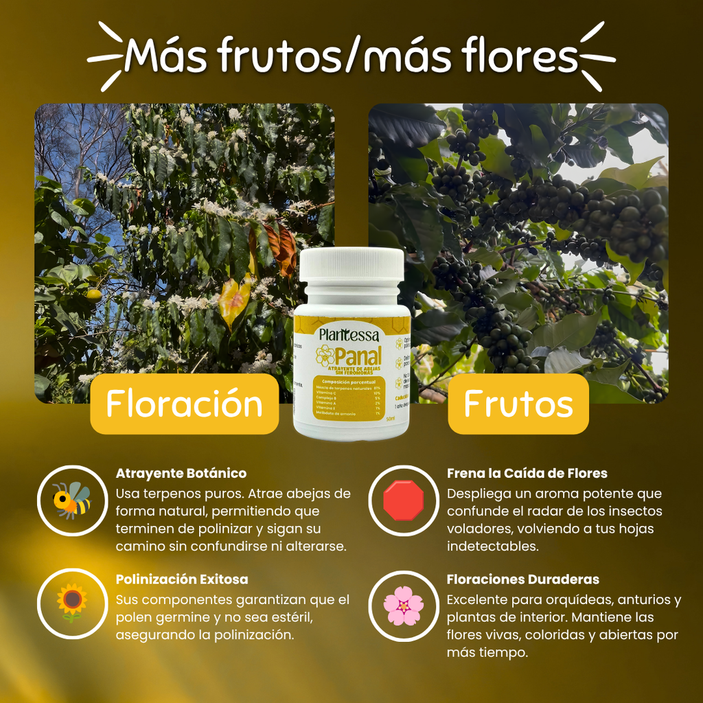 👩‍🌾 Kit Huerto Urbano – Cosecha y Defensa Total