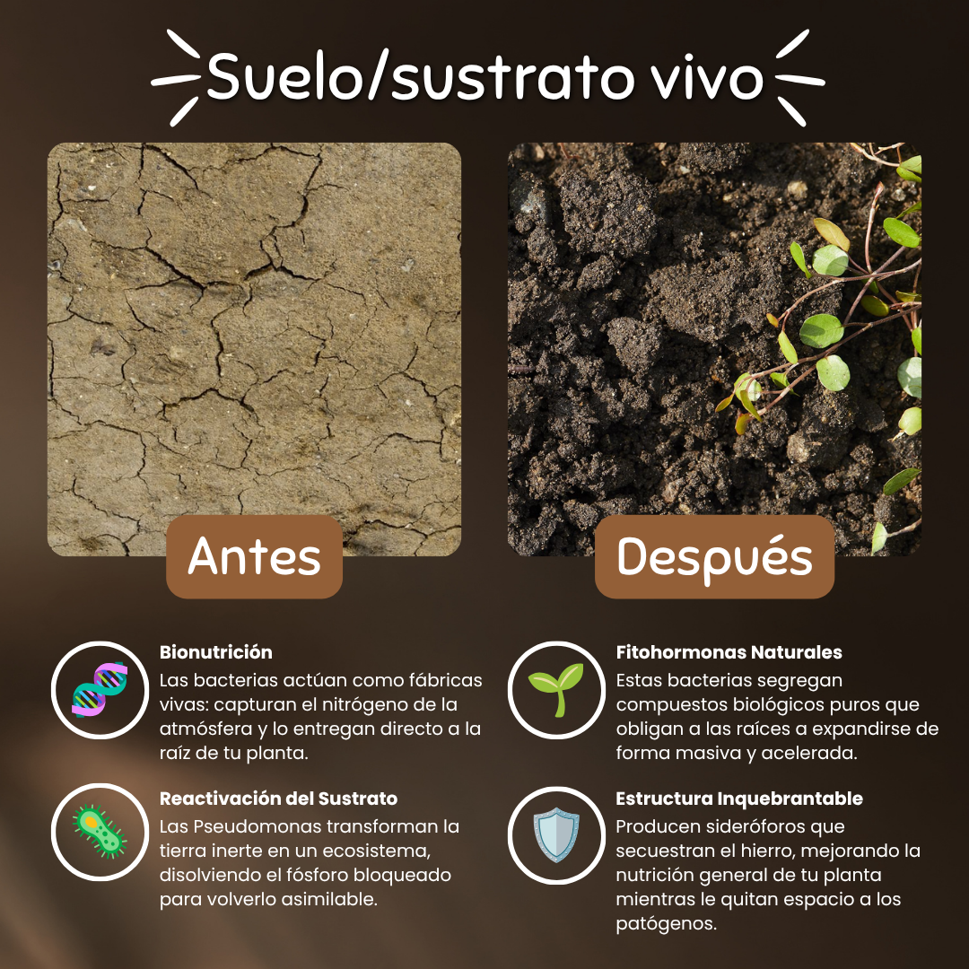 Terra - Biofertilizante (Bacterias Benéficas)