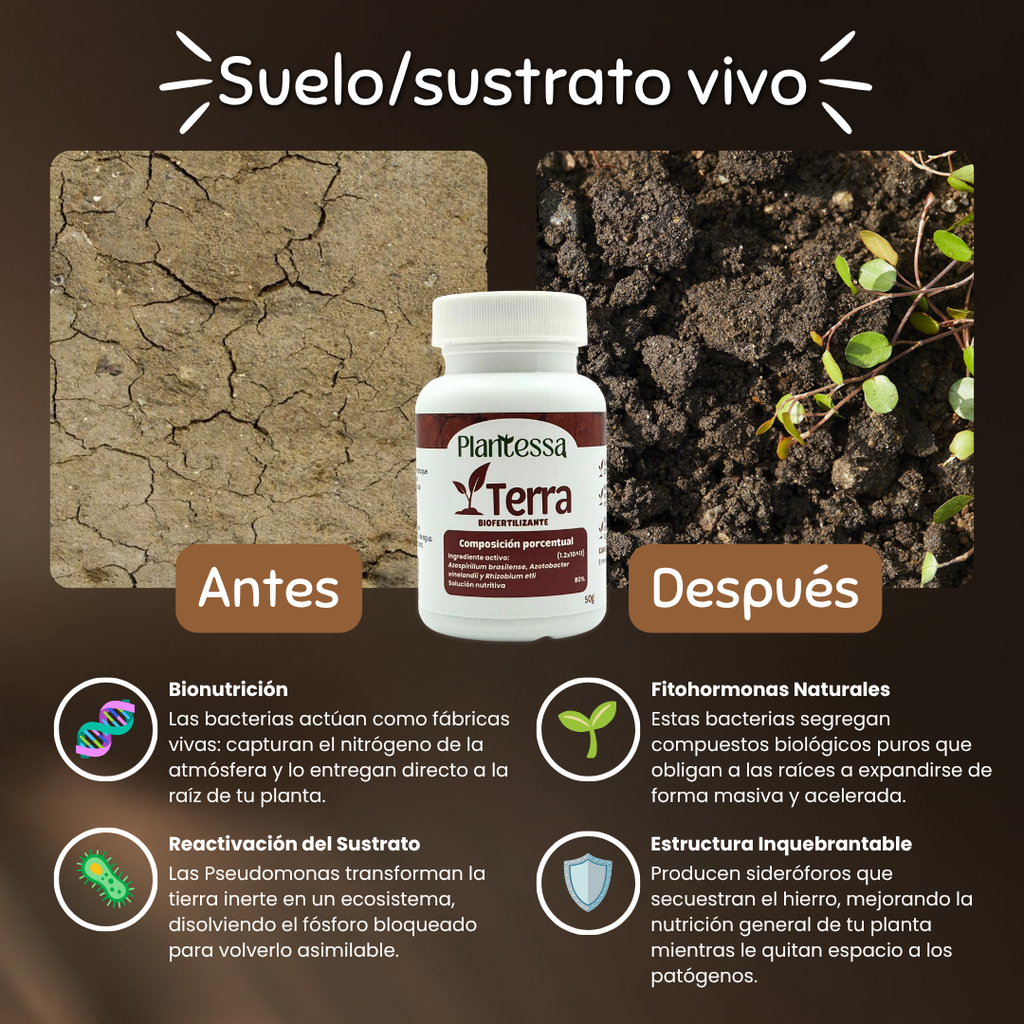 🌱Kit Mejora tu sustrato