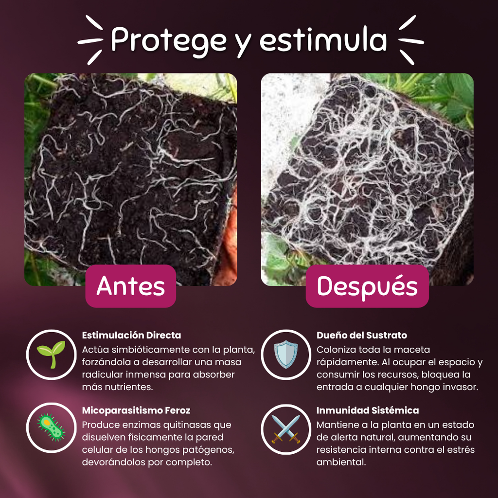 Trish – Estimulante Radicular y Bio-Protector de raíces