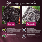 Trish – Estimulante Radicular y Bio-Protector de raíces