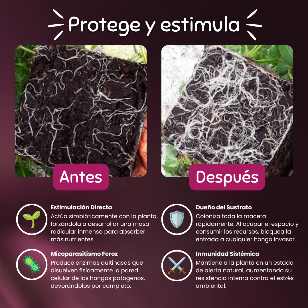 Trish – Estimulante Radicular y Bio-Protector de raíces