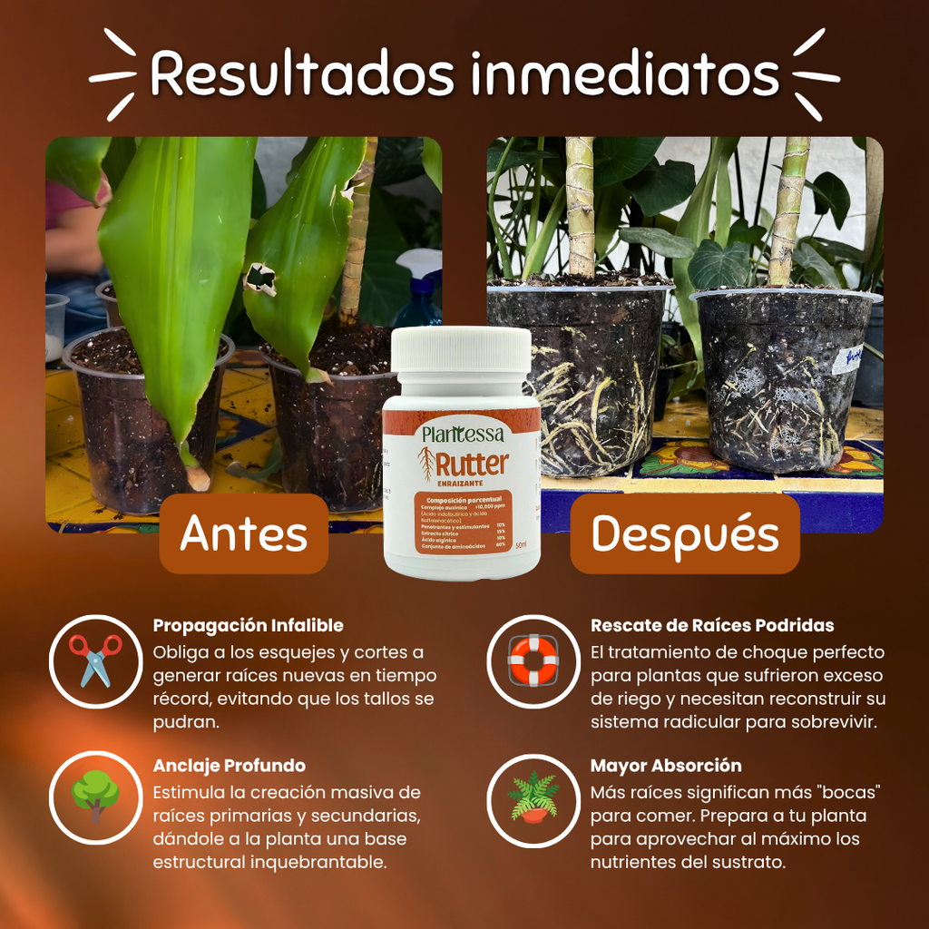 🌱Kit Mejora tu sustrato