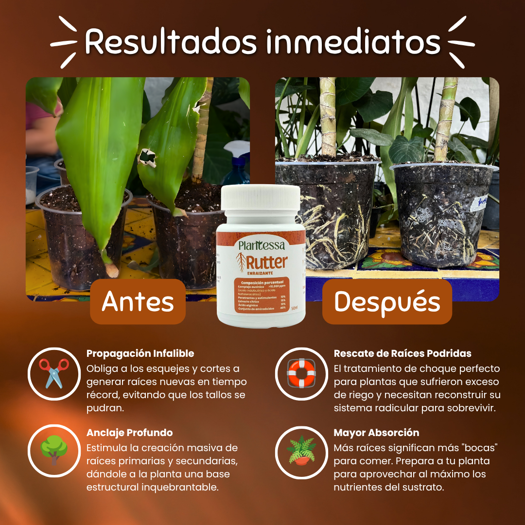 🌱Kit Mejora tu sustrato
