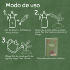🌵Kit SOS Hongos – Rescate y Regeneración