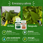 Trasplante seguro – Enraizamiento y Cero Estrés