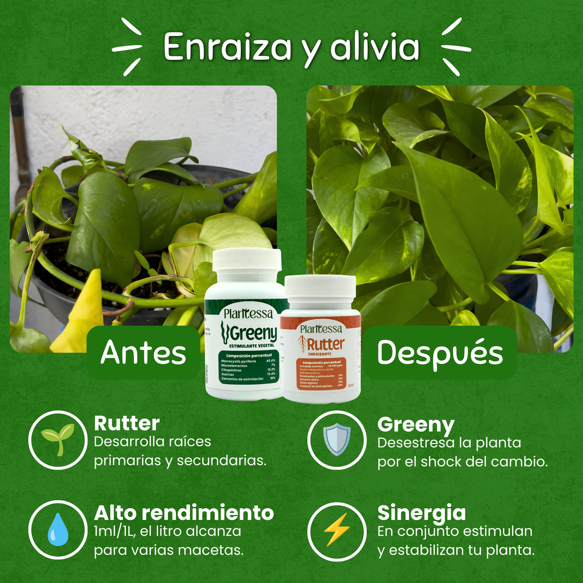Trasplante seguro – Enraizamiento y Cero Estrés