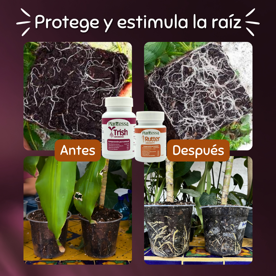 🪴 Kit Manos a la Tierra - El Arsenal Completo