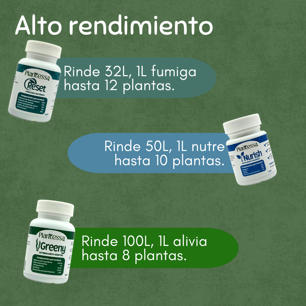 🌵Kit SOS Hongos – Rescate y Regeneración