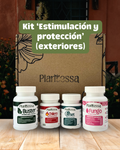 Kit Estimulación y protección