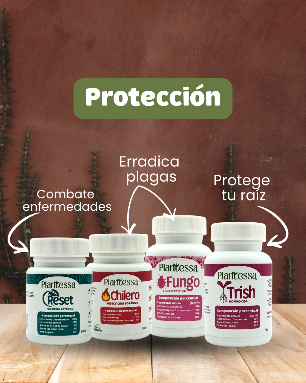 Kit Manos a la tierra