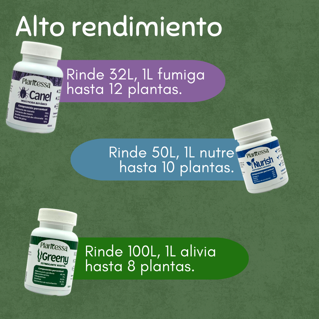 🪲Kit Anti-Plagas | Erradicación y Recuperación
